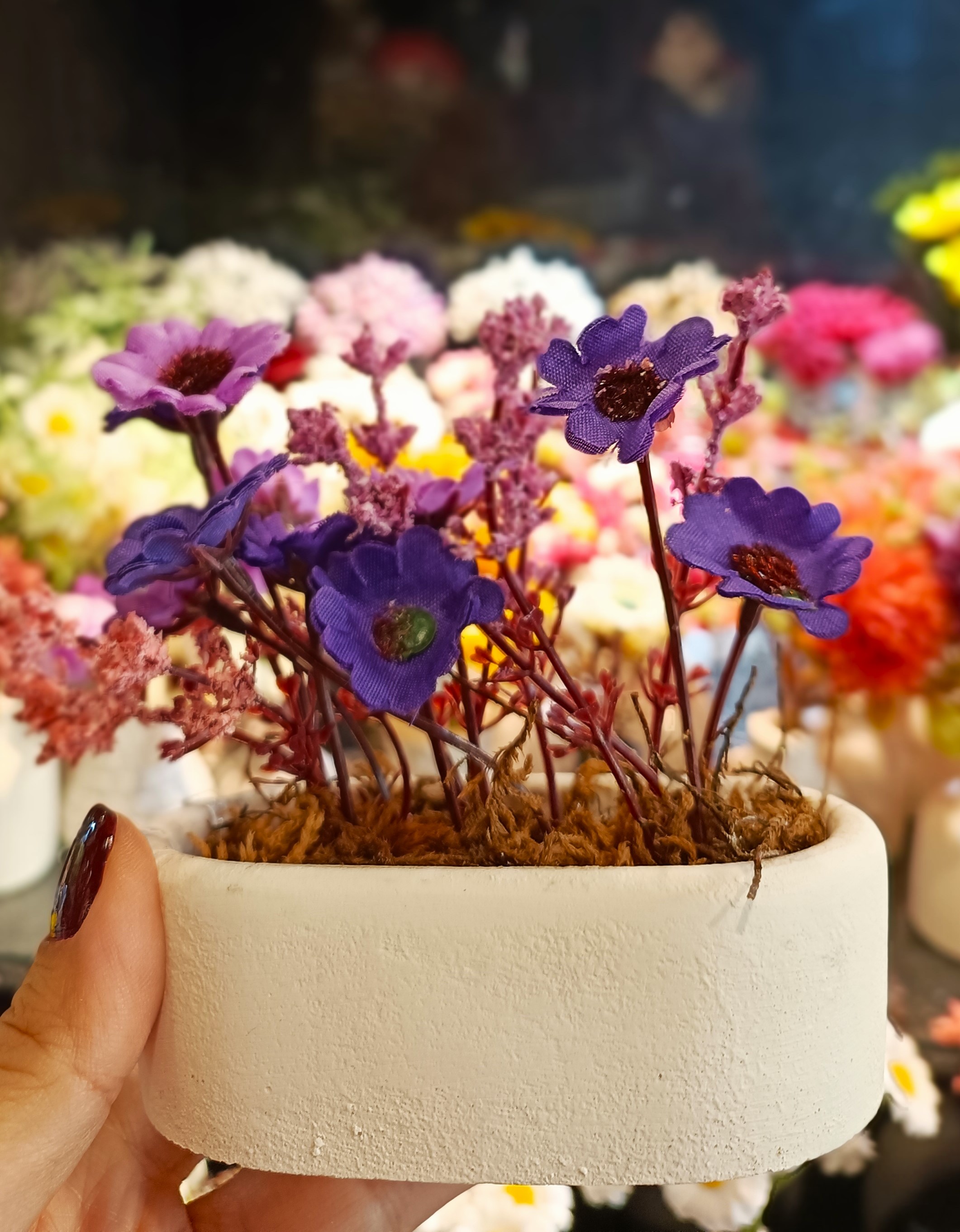 گل ترکیبی بنفش صورتی