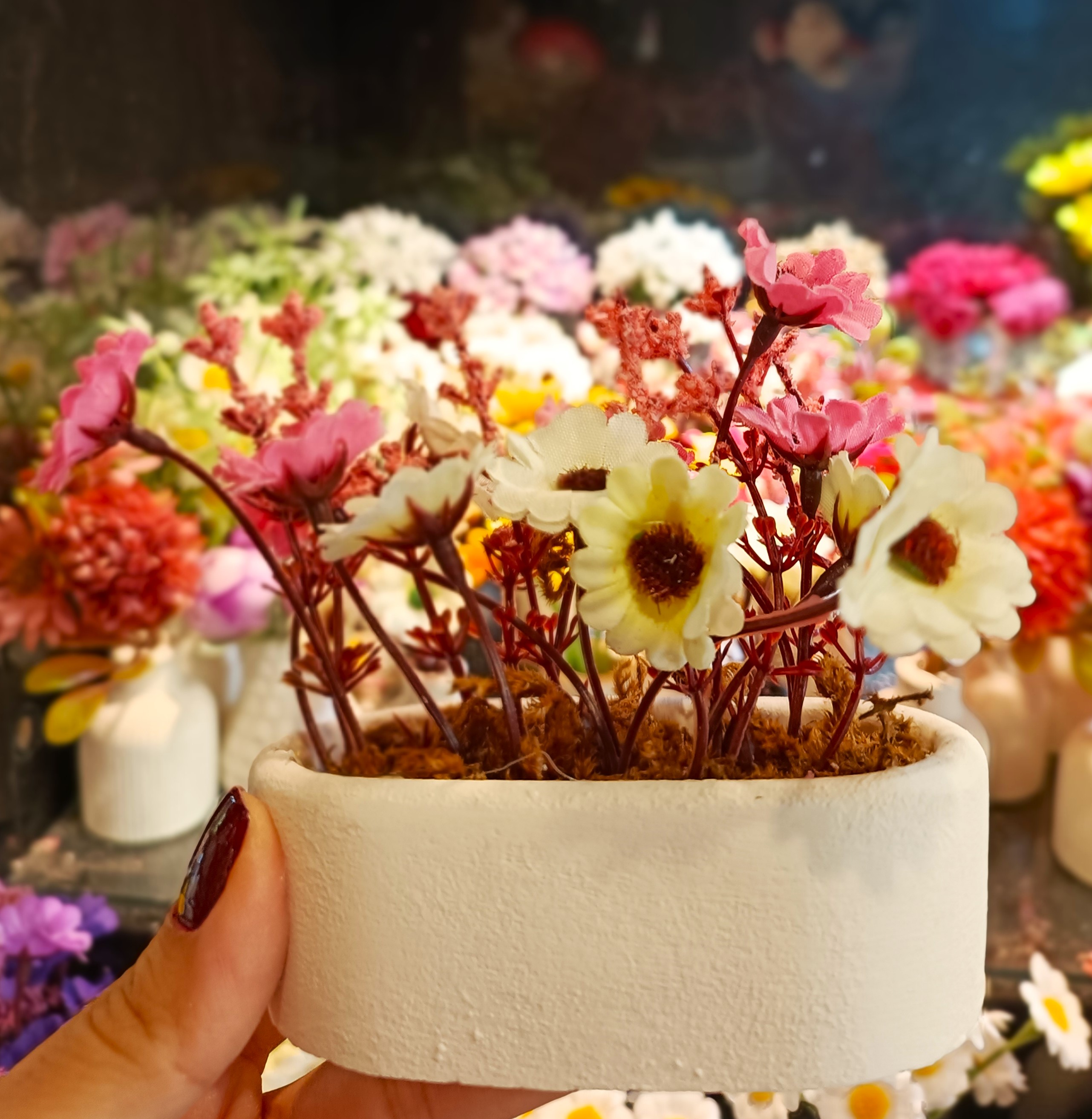 گل ترکیبی سفید صورتی